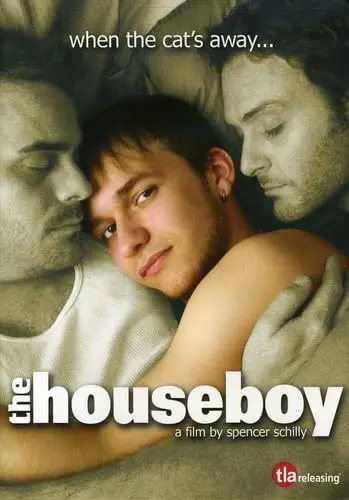 The Houseboy  (Lgbtq+ Film) Dvd - Used 1